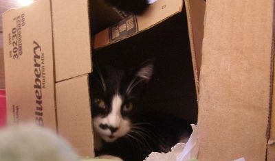 in his box